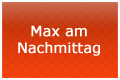 Max am Nachmittag